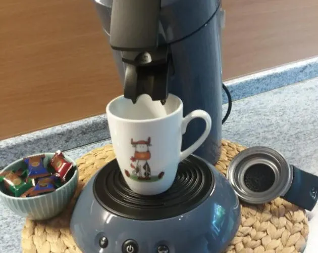 Ferienwohnung Falke Daire